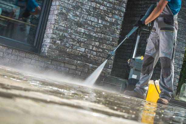 Best Fence Cleaning and Maintenance in Beacon Hill, WA